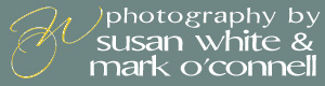 Photography by Susan White & Mark O'Connell logo