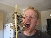 Matt with mice on a stick