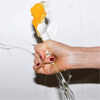 Yeah Yeah Yeahs, It's Blitz!